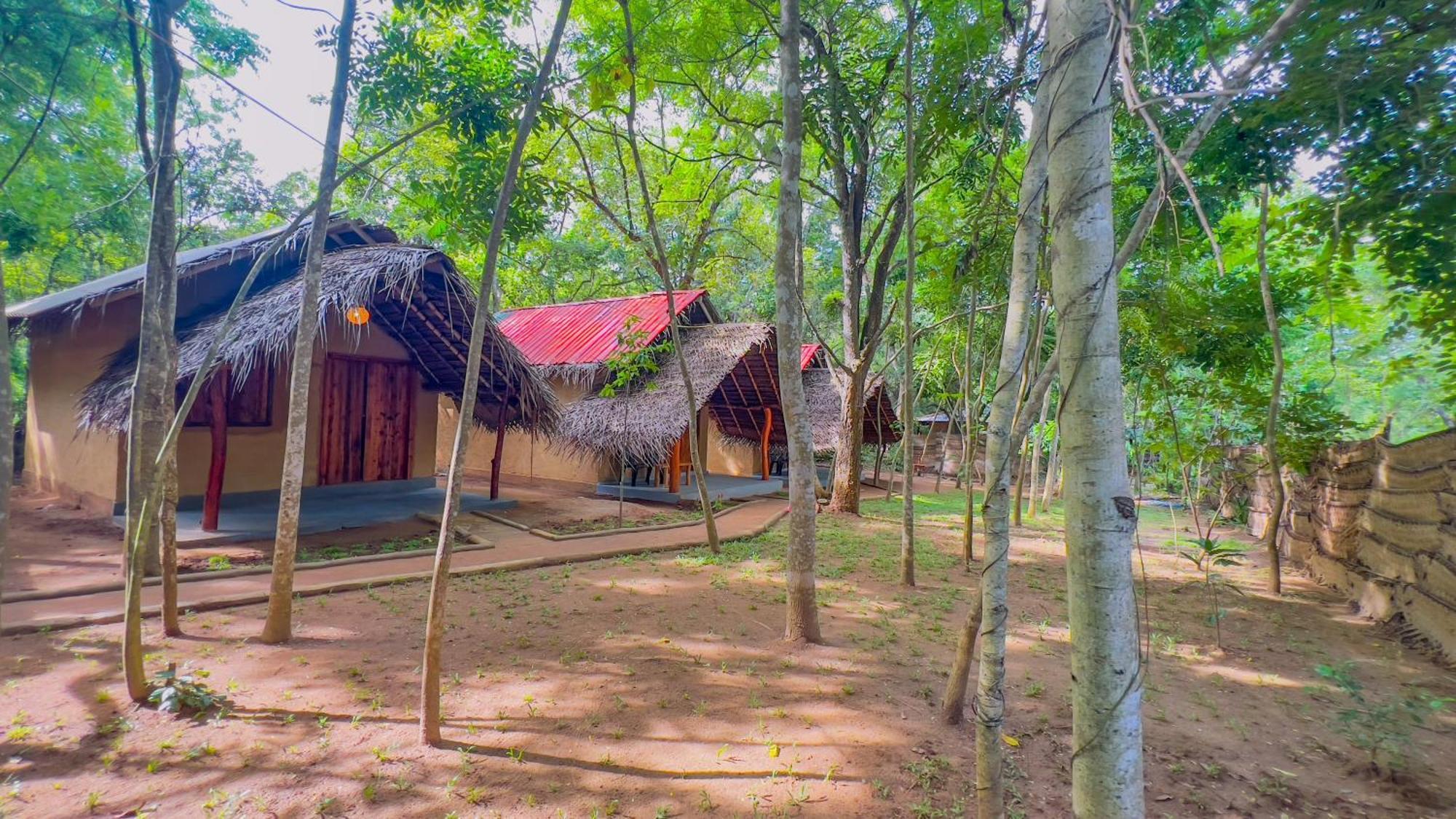 Jungle Host Hostel And Tree House Сигирия Экстерьер фото
