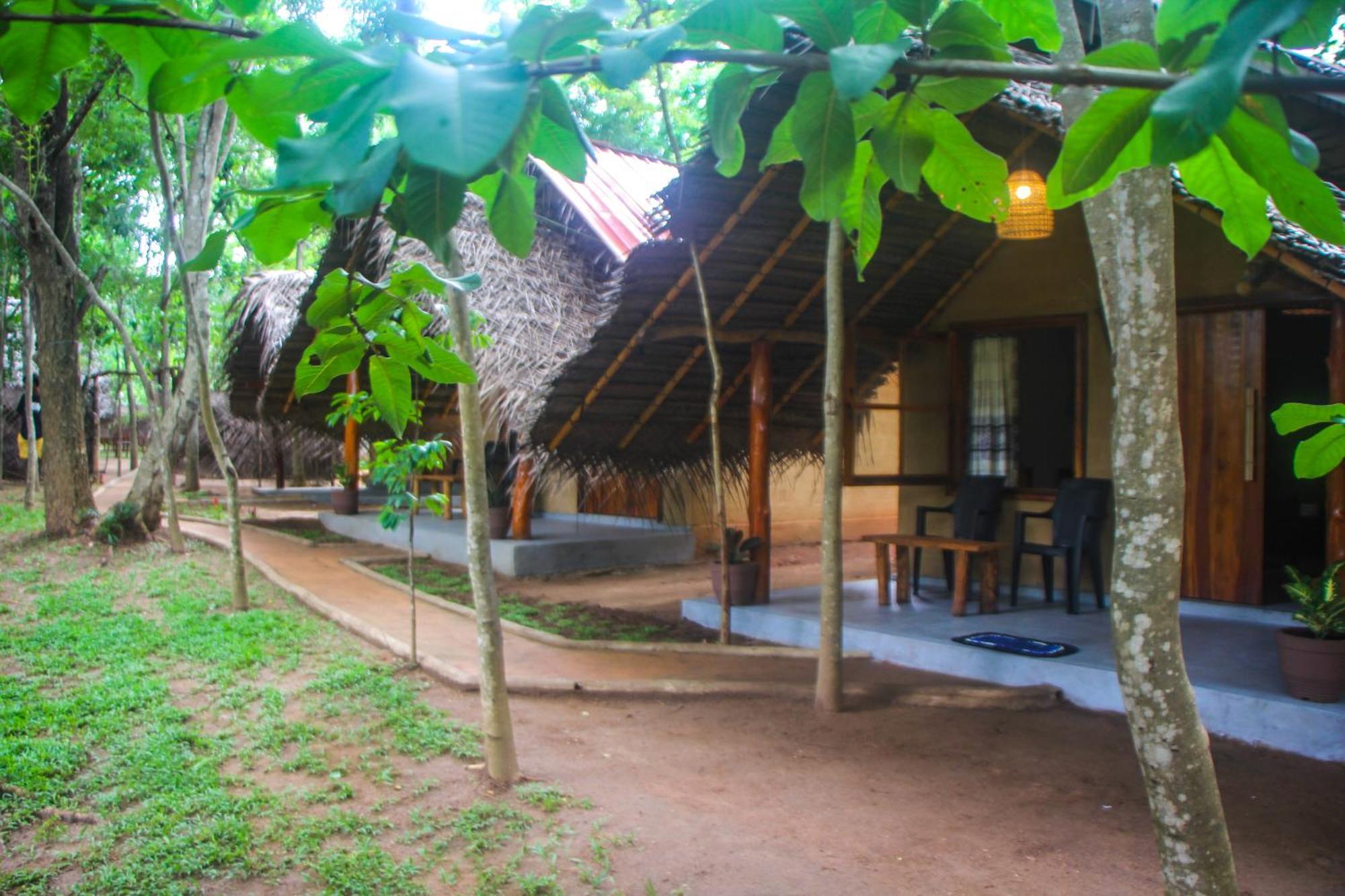 Jungle Host Hostel And Tree House Сигирия Экстерьер фото