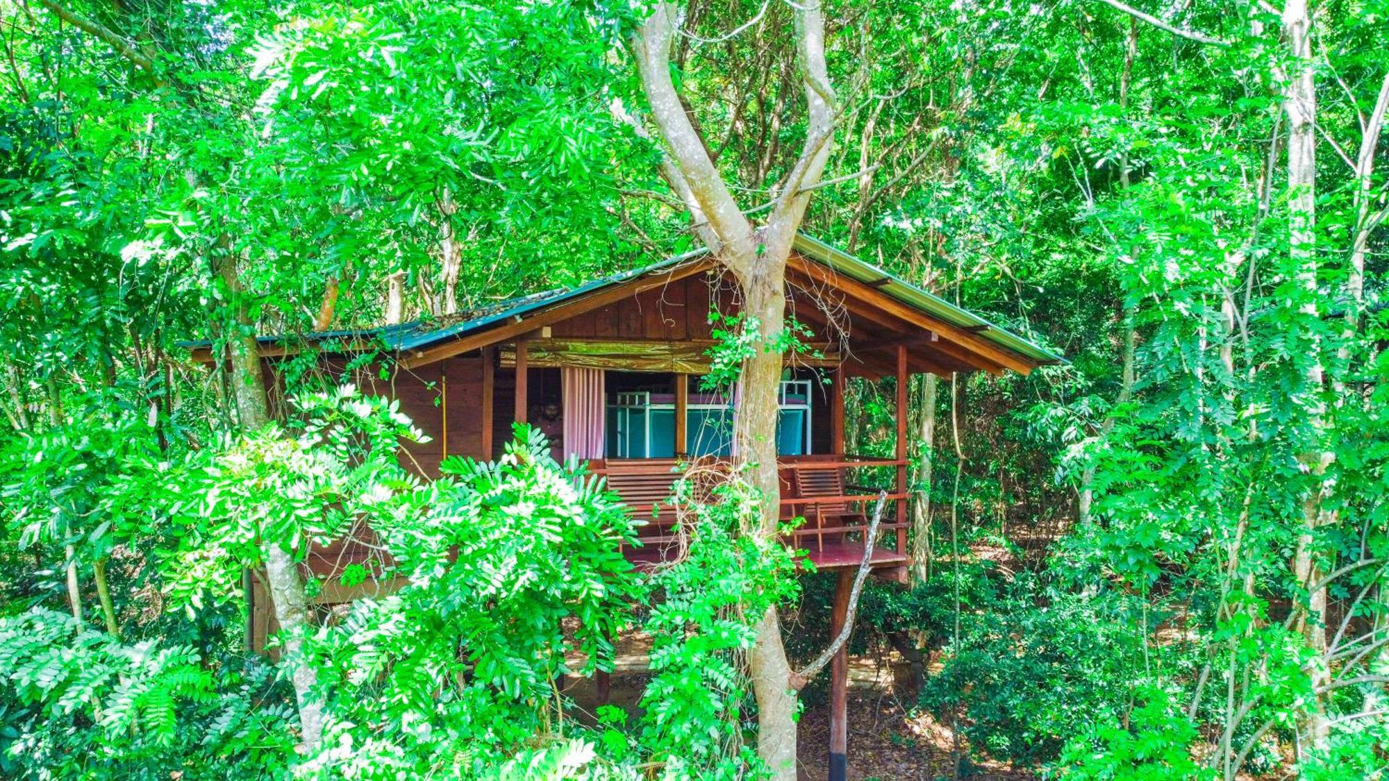 Jungle Host Hostel And Tree House Сигирия Экстерьер фото