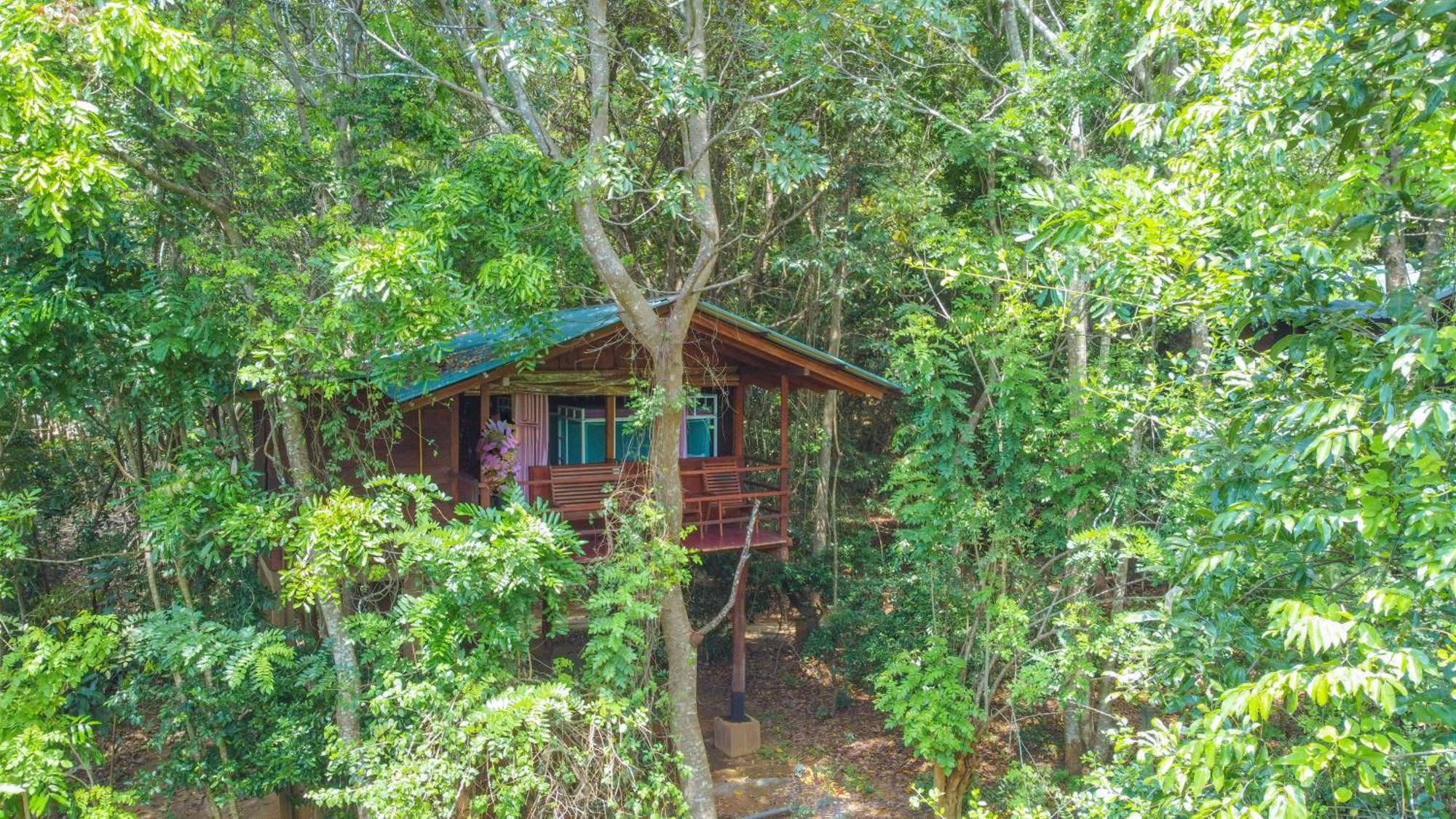 Jungle Host Hostel And Tree House Сигирия Экстерьер фото