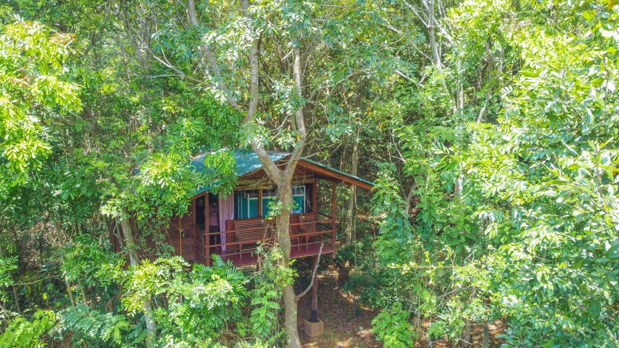 Jungle Host Hostel And Tree House Сигирия Экстерьер фото