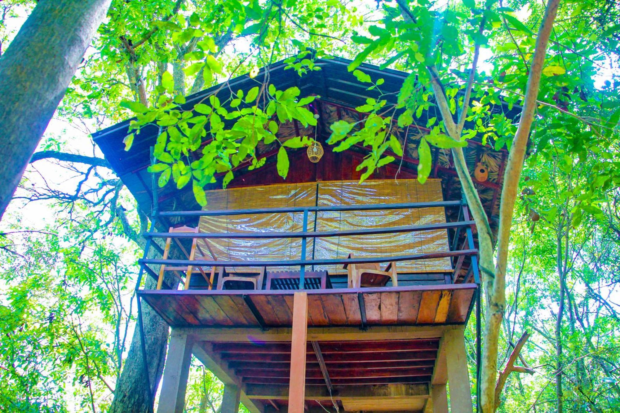 Jungle Host Hostel And Tree House Сигирия Экстерьер фото